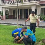 Universitas Negeri Malang Tanam Pohon, Wujudkan Kampus Hijau Berkelanjutan