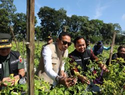 Wali Kota Malang Pastikan Stok Cabai dan Telur Aman Selama Ramadhan