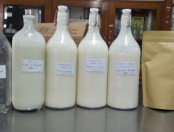 Inovasi Makanan Cair Sonde, Solusi Gizi Pasien Kritis