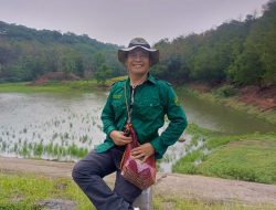 Rehabilitasi Hutan Indonesia Gagal, Ini Penyebabnya