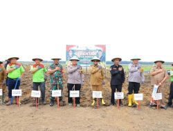 Bupati Labuhanbatu Utara Hadiri Penanaman Jagung Serentak 1 Juta Hektar