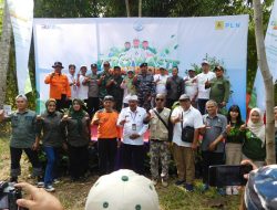 PLN Tanam 2.000 Mangrove Cegah Abrasi di Bajulmati