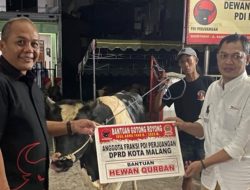 PDIP Kota Malang Kurban 14 Hewan di Hari Lahir Bung Karno
