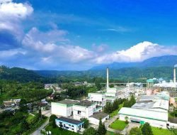 Toba Pulp Lestari Diambil Alih Investor Asing Hong Kong