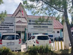 11 Warga Siponjot Digigit Anjing Rabies, Pemkab Bertindak Cepat