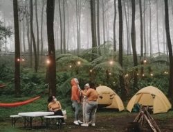 Alas Pakis Wagir Diserbu 300 Wisatawan Sehari
