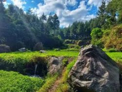 Wisata Alam Poncokusumo, Surga Tersembunyi di Lereng Semeru