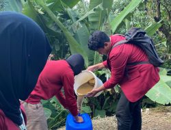 Mahasiswa UMM Sulap Limbah Ternak Jadi Energi Bersih di Batu