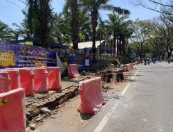 DLH Kota Malang Tertibkan Pohon Jelang Proyek Drainase Suhat