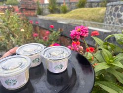 PPI AMF Ciptakan Es Krim Kelor Cegah Stunting