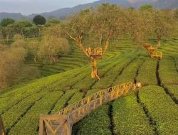 Wonosari Malang, Surga Tersembunyi di Kaki Pegunungan