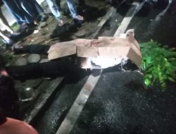 Diduga Mengantuk, Pengendara Tewas Tabrak Pohon di Medan