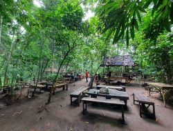 Pesona Tersembunyi Tajinan, Surga Wisata Alam dan Edukasi