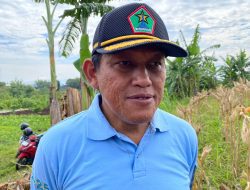Stok Pangan Kota Malang Aman di Tengah Lonjakan MBG, Kadispangtan Buka Fakta Lapangan