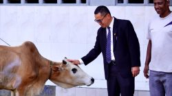 Hotel Santika Dyandra Medan Salurkan Sapi Kurban dan Bantuan Karpet untuk Masjid