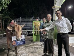 Penyaluran Kurban The Alana Hotel Malang dan Aston Mojokerto Jadi Wujud Kepedulian Masyarakat