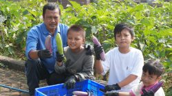 Liburan Sekolah di BeSS Resort Malang Tak Sekadar Bermain, Anak Diajak Panen dan Belajar Berkebun