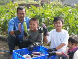 Liburan Sekolah di BeSS Resort Malang Tak Sekadar Bermain, Anak Diajak Panen dan Belajar Berkebun