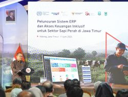 OJK Gandeng ILO Perkuat Pembiayaan Peternak Sapi Perah di Jawa Timur