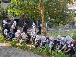 Green Campus UM Diperkuat, Mahasiswa Baru Tanam 12 Ribu Sansevieria