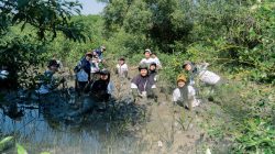 14 Mahasiswa Kehutanan UB Turun ke Pesisir Wonorejo, Tanam 10 Ribu Bibit Mangrove