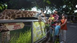 Perkuat Pariwisata Daerah, Jatim Park Group Kolaborasi dengan Wonderful Indonesia