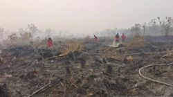 Sebaran Titik Karhutla Kalimantan Penyebab Kabut Asap Parah