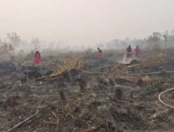 Sebaran Titik Karhutla Kalimantan Penyebab Kabut Asap Parah
