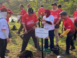 Pulihkan Ekosistem Kalimantan, Penghijauan di IKN Terus Digencarkan